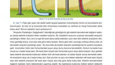 6. Sınıf Gün Yayınları Fen Bilimleri Ders Kitabı Sayfa 267 Cevapları