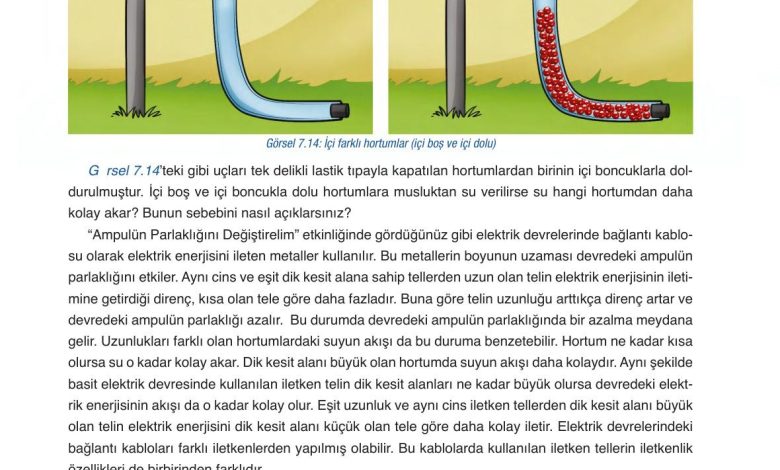 6. Sınıf Gün Yayınları Fen Bilimleri Ders Kitabı Sayfa 267 Cevapları