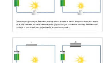 6. Sınıf Gün Yayınları Fen Bilimleri Ders Kitabı Sayfa 268 Cevapları