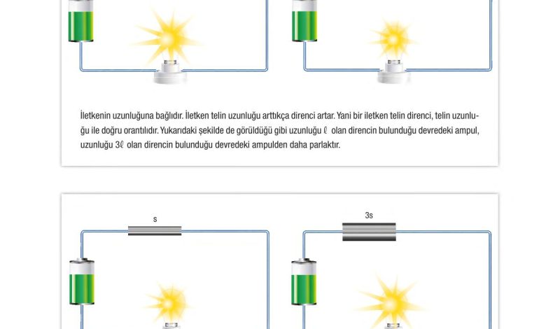 6. Sınıf Gün Yayınları Fen Bilimleri Ders Kitabı Sayfa 268 Cevapları