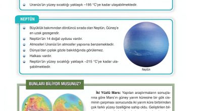 6. Sınıf Gün Yayınları Fen Bilimleri Ders Kitabı Sayfa 27 Cevapları