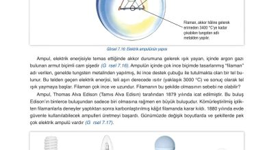 6. Sınıf Gün Yayınları Fen Bilimleri Ders Kitabı Sayfa 270 Cevapları