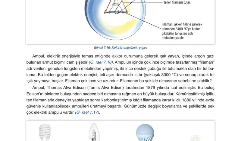 6. Sınıf Gün Yayınları Fen Bilimleri Ders Kitabı Sayfa 270 Cevapları