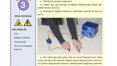 6. Sınıf Gün Yayınları Fen Bilimleri Ders Kitabı Sayfa 271 Cevapları