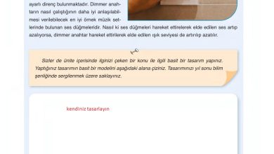 6. Sınıf Gün Yayınları Fen Bilimleri Ders Kitabı Sayfa 275 Cevapları