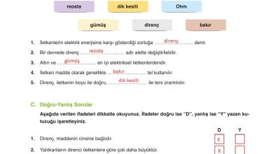 6. Sınıf Gün Yayınları Fen Bilimleri Ders Kitabı Sayfa 276 Cevapları