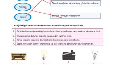 6. Sınıf Gün Yayınları Fen Bilimleri Ders Kitabı Sayfa 277 Cevapları