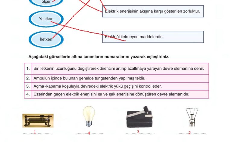 6. Sınıf Gün Yayınları Fen Bilimleri Ders Kitabı Sayfa 277 Cevapları