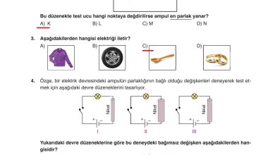 6. Sınıf Gün Yayınları Fen Bilimleri Ders Kitabı Sayfa 278 Cevapları