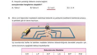 6. Sınıf Gün Yayınları Fen Bilimleri Ders Kitabı Sayfa 279 Cevapları