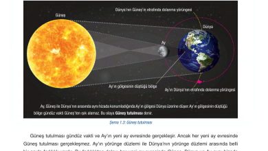 6. Sınıf Gün Yayınları Fen Bilimleri Ders Kitabı Sayfa 35 Cevapları