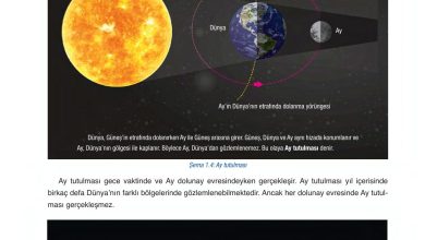 6. Sınıf Gün Yayınları Fen Bilimleri Ders Kitabı Sayfa 36 Cevapları