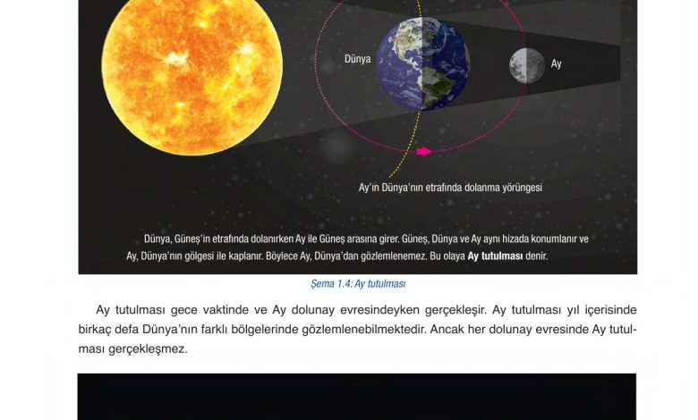 6. Sınıf Gün Yayınları Fen Bilimleri Ders Kitabı Sayfa 36 Cevapları