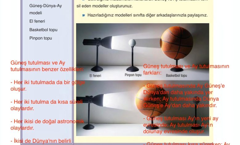 6. Sınıf Gün Yayınları Fen Bilimleri Ders Kitabı Sayfa 37 Cevapları