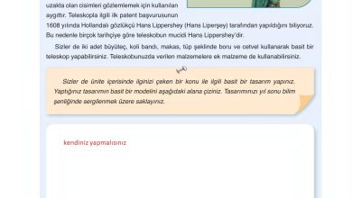 6. Sınıf Gün Yayınları Fen Bilimleri Ders Kitabı Sayfa 42 Cevapları