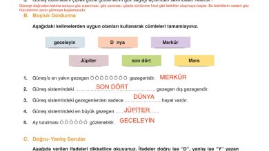 6. Sınıf Gün Yayınları Fen Bilimleri Ders Kitabı Sayfa 43 Cevapları