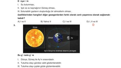 6. Sınıf Gün Yayınları Fen Bilimleri Ders Kitabı Sayfa 44 Cevapları