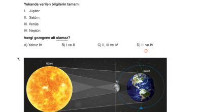 6. Sınıf Gün Yayınları Fen Bilimleri Ders Kitabı Sayfa 45 Cevapları