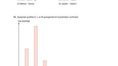 6. Sınıf Gün Yayınları Fen Bilimleri Ders Kitabı Sayfa 46 Cevapları