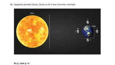 6. Sınıf Gün Yayınları Fen Bilimleri Ders Kitabı Sayfa 47 Cevapları