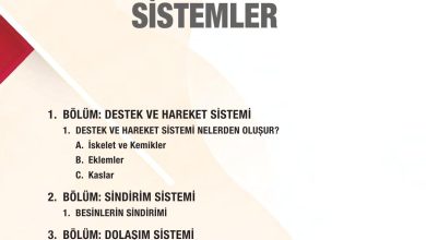 6. Sınıf Gün Yayınları Fen Bilimleri Ders Kitabı Sayfa 48 Cevapları