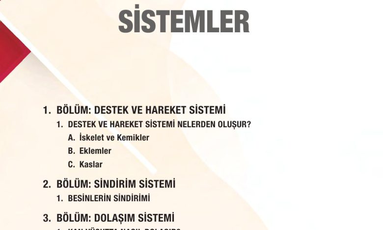 6. Sınıf Gün Yayınları Fen Bilimleri Ders Kitabı Sayfa 48 Cevapları