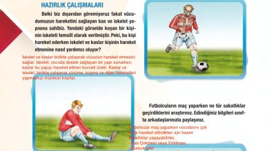 6. Sınıf Gün Yayınları Fen Bilimleri Ders Kitabı Sayfa 50 Cevapları