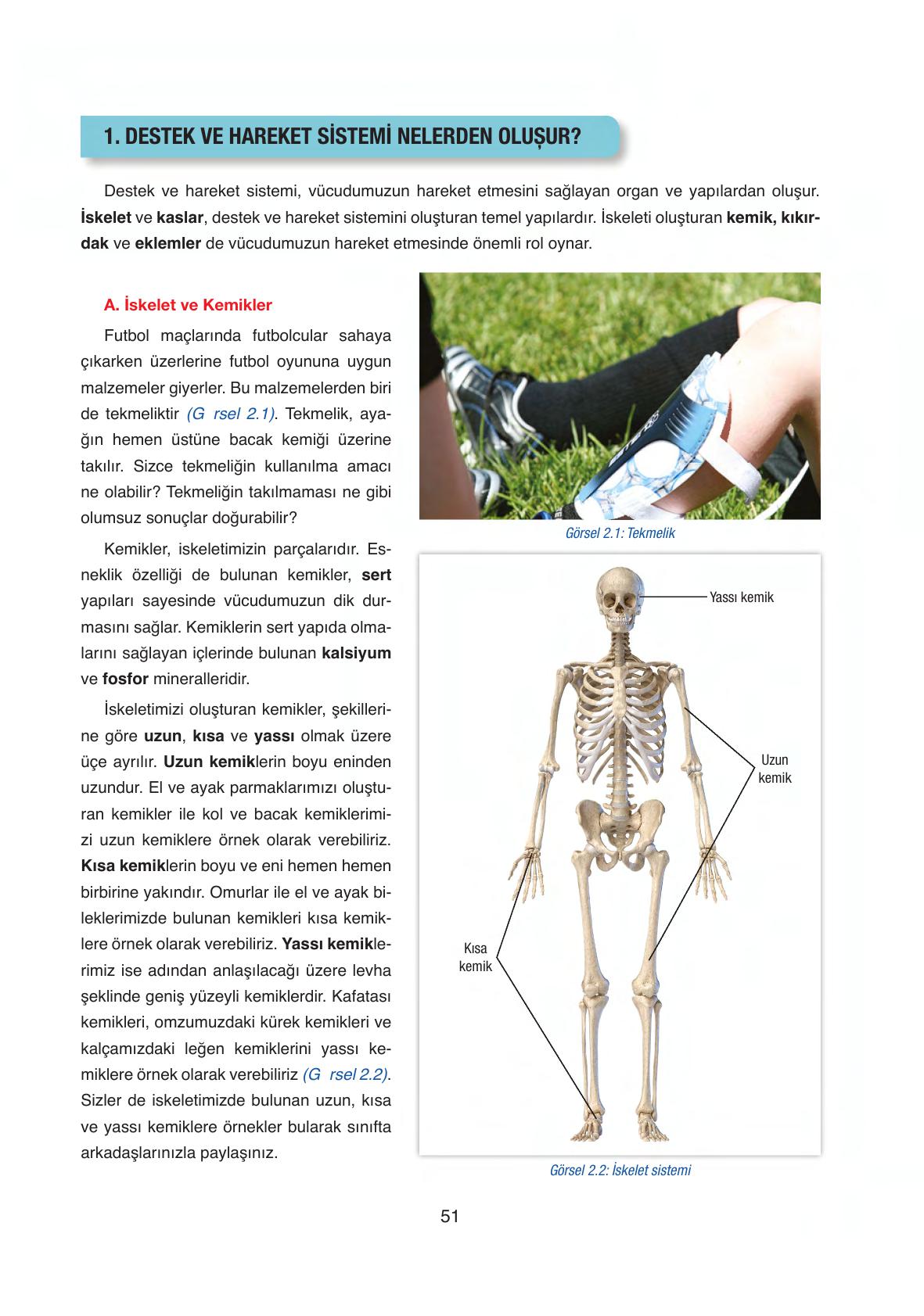 6. Sınıf Gün Yayınları Fen Bilimleri Ders Kitabı Sayfa 51 Cevapları