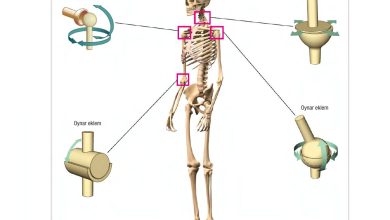 6. Sınıf Gün Yayınları Fen Bilimleri Ders Kitabı Sayfa 54 Cevapları