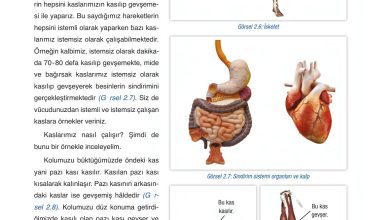 6. Sınıf Gün Yayınları Fen Bilimleri Ders Kitabı Sayfa 55 Cevapları