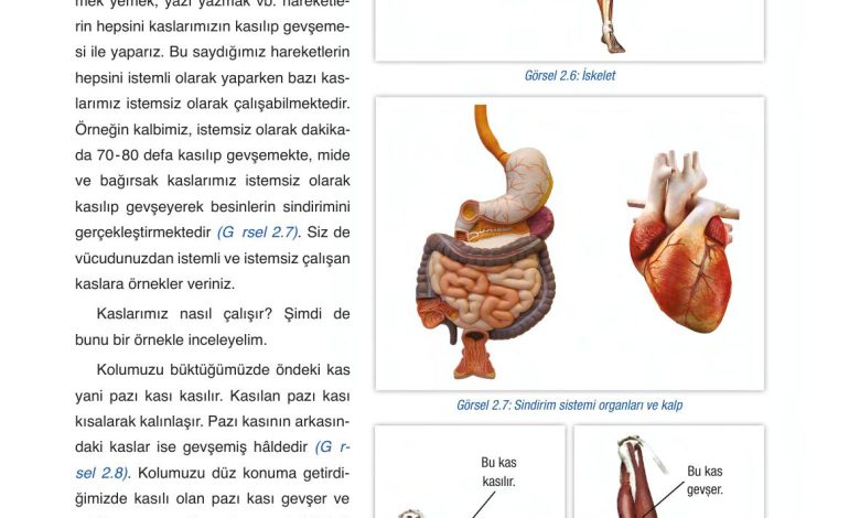 6. Sınıf Gün Yayınları Fen Bilimleri Ders Kitabı Sayfa 55 Cevapları