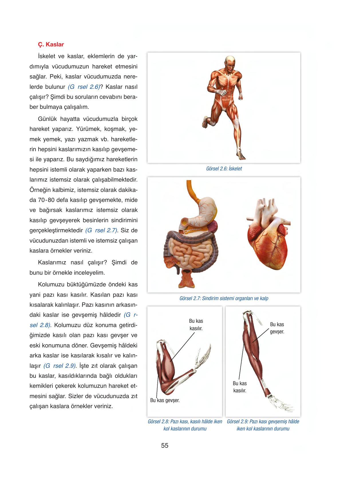 6. Sınıf Gün Yayınları Fen Bilimleri Ders Kitabı Sayfa 55 Cevapları