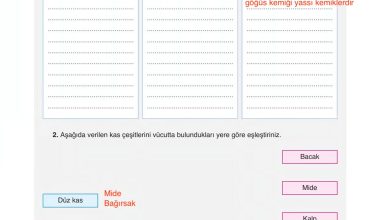 6. Sınıf Gün Yayınları Fen Bilimleri Ders Kitabı Sayfa 57 Cevapları