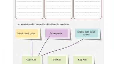 6. Sınıf Gün Yayınları Fen Bilimleri Ders Kitabı Sayfa 58 Cevapları