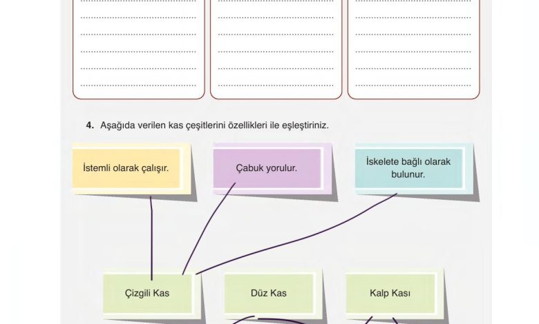 6. Sınıf Gün Yayınları Fen Bilimleri Ders Kitabı Sayfa 58 Cevapları