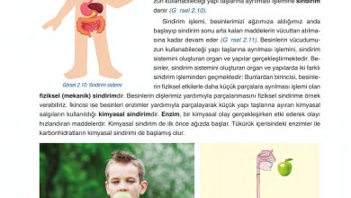 6. Sınıf Gün Yayınları Fen Bilimleri Ders Kitabı Sayfa 60 Cevapları