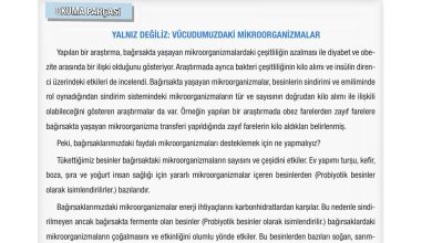 6. Sınıf Gün Yayınları Fen Bilimleri Ders Kitabı Sayfa 63 Cevapları