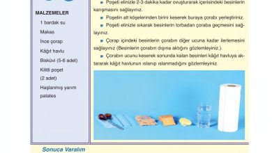 6. Sınıf Gün Yayınları Fen Bilimleri Ders Kitabı Sayfa 64 Cevapları