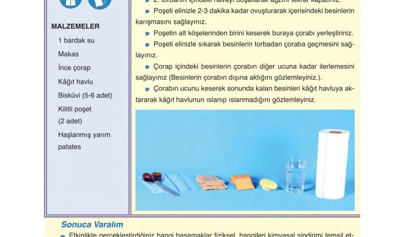 6. Sınıf Gün Yayınları Fen Bilimleri Ders Kitabı Sayfa 64 Cevapları