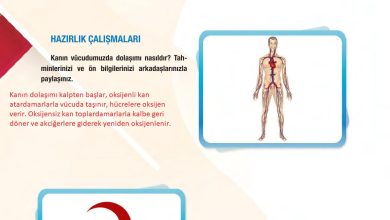 6. Sınıf Gün Yayınları Fen Bilimleri Ders Kitabı Sayfa 67 Cevapları