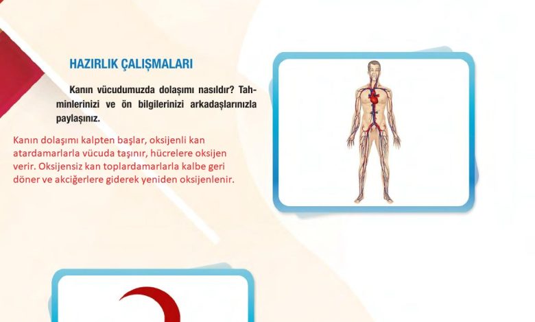 6. Sınıf Gün Yayınları Fen Bilimleri Ders Kitabı Sayfa 67 Cevapları