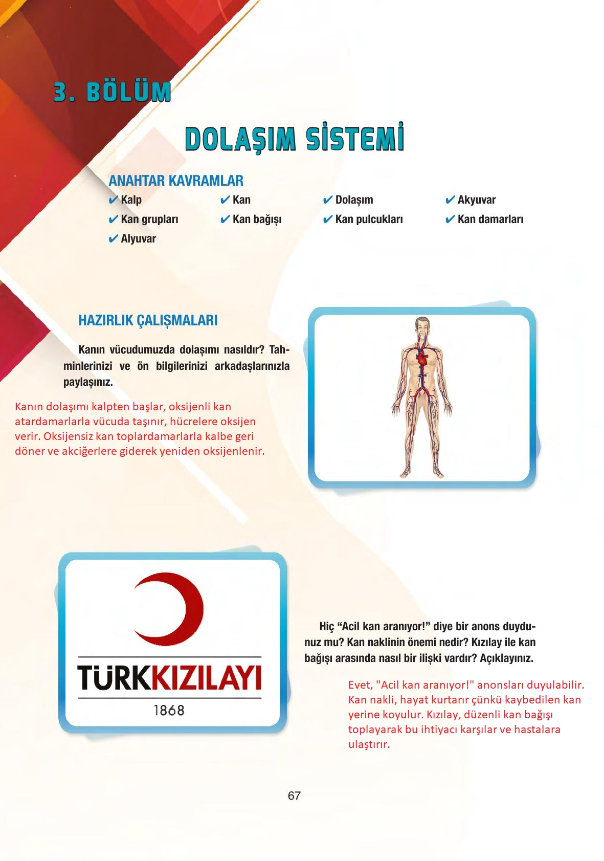 6. Sınıf Gün Yayınları Fen Bilimleri Ders Kitabı Sayfa 67 Cevapları