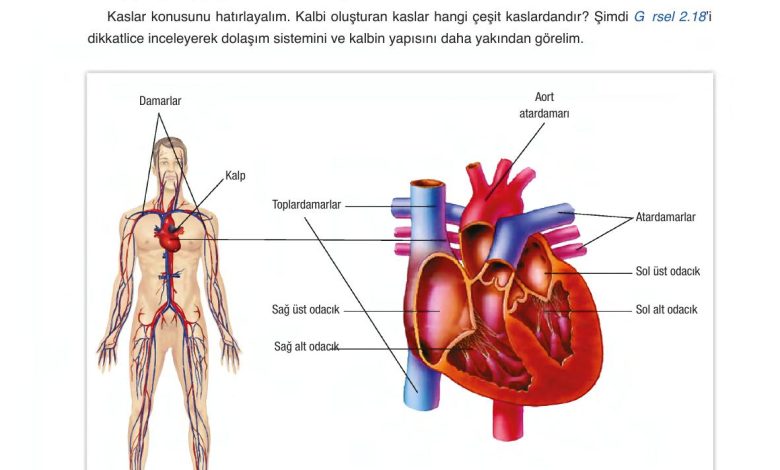 6. Sınıf Gün Yayınları Fen Bilimleri Ders Kitabı Sayfa 68 Cevapları