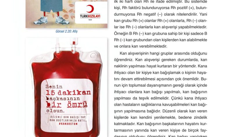 6. Sınıf Gün Yayınları Fen Bilimleri Ders Kitabı Sayfa 72 Cevapları