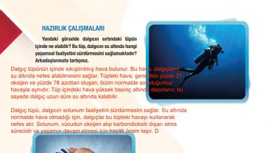 6. Sınıf Gün Yayınları Fen Bilimleri Ders Kitabı Sayfa 76 Cevapları