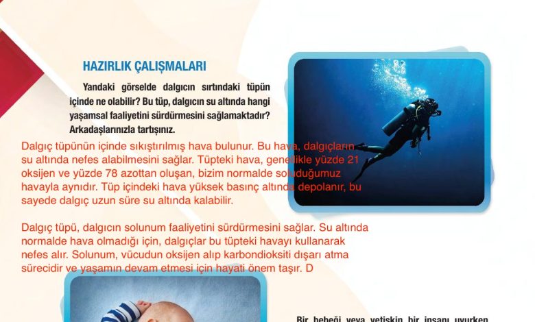 6. Sınıf Gün Yayınları Fen Bilimleri Ders Kitabı Sayfa 76 Cevapları