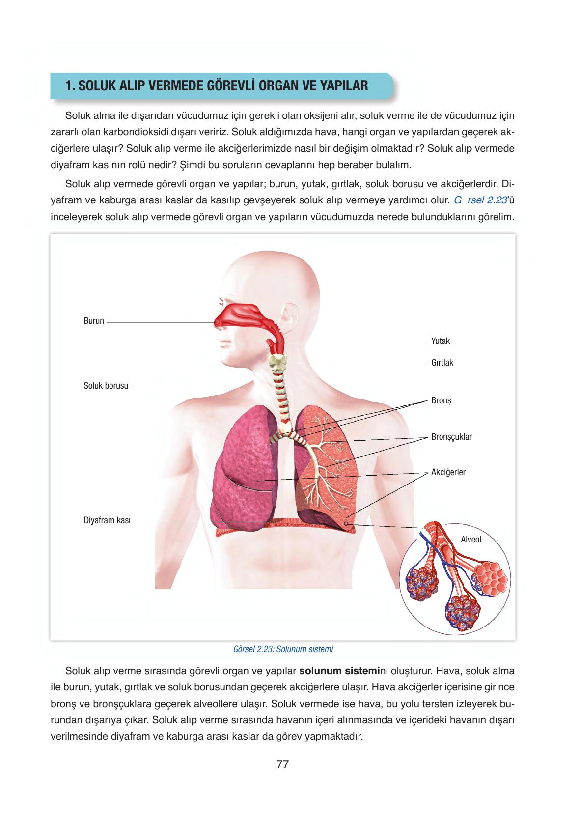 6. Sınıf Gün Yayınları Fen Bilimleri Ders Kitabı Sayfa 77 Cevapları