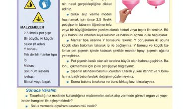 6. Sınıf Gün Yayınları Fen Bilimleri Ders Kitabı Sayfa 79 Cevapları