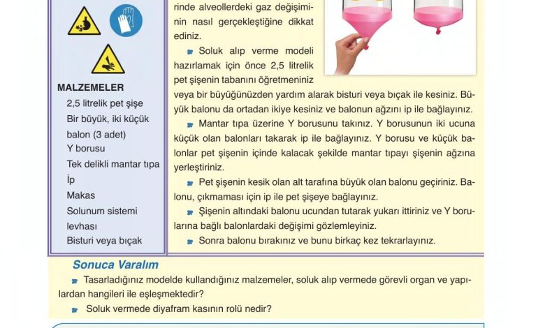 6. Sınıf Gün Yayınları Fen Bilimleri Ders Kitabı Sayfa 79 Cevapları