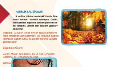 6. Sınıf Gün Yayınları Fen Bilimleri Ders Kitabı Sayfa 81 Cevapları